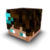 Plexzept